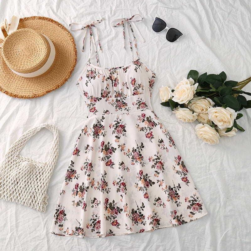 8bed8b2b15a1829c2f6f242b7fb0ee35